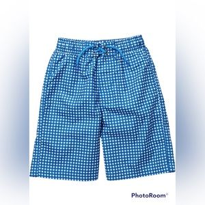 Beach Bros Little Boy’s Blue and White Gingham Swim Trunks| Size: 3T